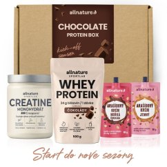 ALLNATURE Chocolate Protein Box - Chocolate Protein Box
