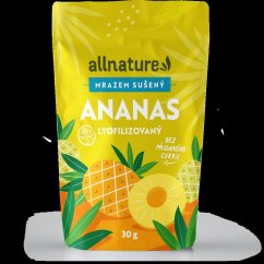 ALLNATURE Sušený ananas mrazem kousky 30 g - Sušený ananas mrazem kousky 30 g