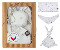 EMITEX Novorodenecký balíček S - Little Bee S